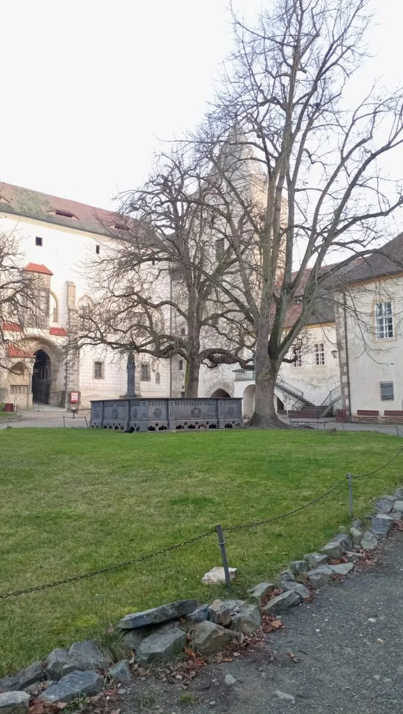 IMG 20241126 WA0014 | Střední odborné učiliště a Praktická škola Kladno | Vrapice