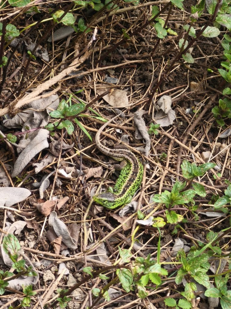 IMG 20250527 WA0005 | Střední odborné učiliště a Praktická škola Kladno | Vrapice