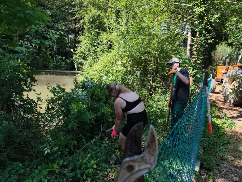 WhatsApp Image 2026 05 21 at 14.55.15 | Střední odborné učiliště a Praktická škola Kladno | Vrapice