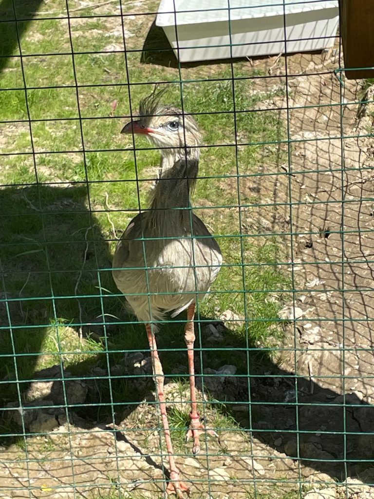 WhatsApp Image 2026 05 24 at 16.47.47 4 | Střední odborné učiliště a Praktická škola Kladno | Vrapice