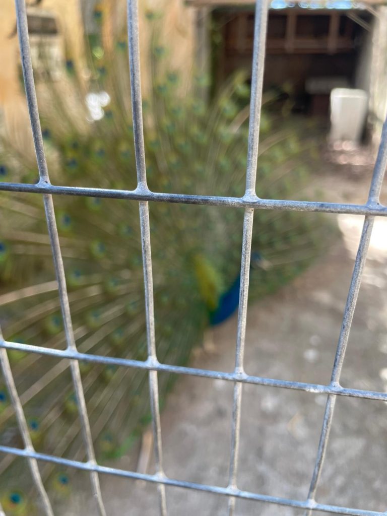 WhatsApp Image 2026 05 24 at 16.47.48 5 | Střední odborné učiliště a Praktická škola Kladno | Vrapice