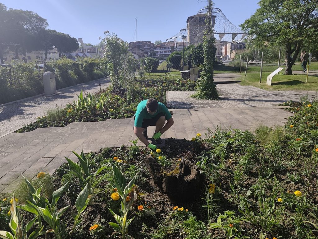 WhatsApp Image 2026 05 27 at 09.42.03 | Střední odborné učiliště a Praktická škola Kladno | Vrapice