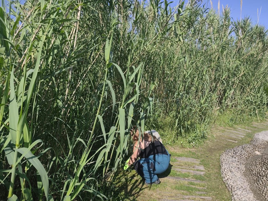WhatsApp Image 2026 05 27 at 09.43.23 | Střední odborné učiliště a Praktická škola Kladno | Vrapice